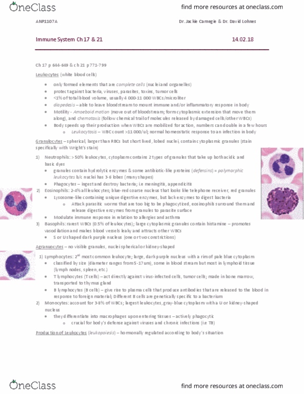 ANP 1107 Chapter Notes - Chapter 21, 17: Antibody Titer, Broadspectrum, Extracellular Fluid thumbnail